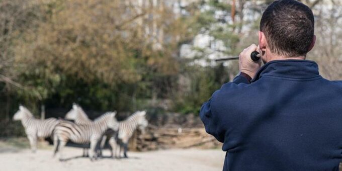 Impfpflicht gibt es nur für wenige Zootiere