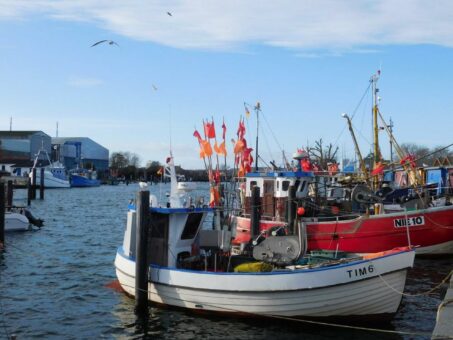 Hafenführungen – Durch den „lütten“ Niendorfer Hafen mit Theo Bauernschmidt