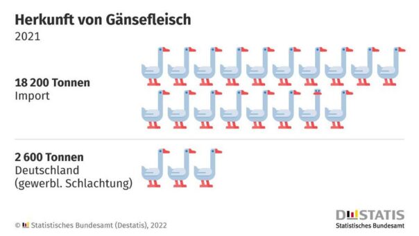 98 % des importierten Gänsefleisches im Jahr 2021 kamen aus Polen und Ungarn