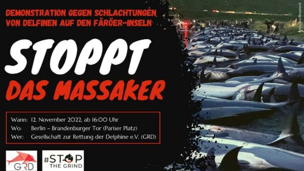 Demonstration am 12. November in Berlin: Stoppt das Massaker auf den Färöer-Inseln