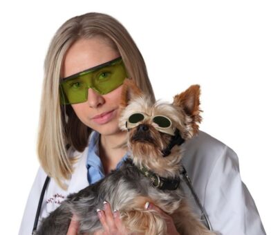 laservision Laserschutz-Doggles® – für Laserbehandlungen an kleinen und großen Tieren