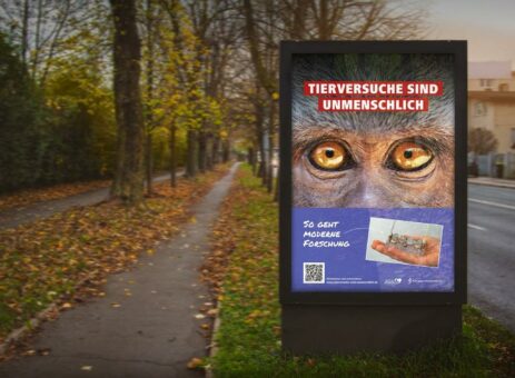 „Tierversuche sind unmenschlich“: Ärzte gegen Tierversuche plakatiert Tübingen