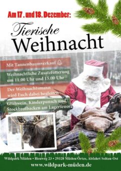 Tierische Weihnacht im Wildpark Müden