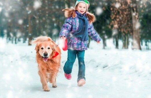 Heimtiere bereichern den Alltag, ihre Anschaffung sollte aber gut geplant sein