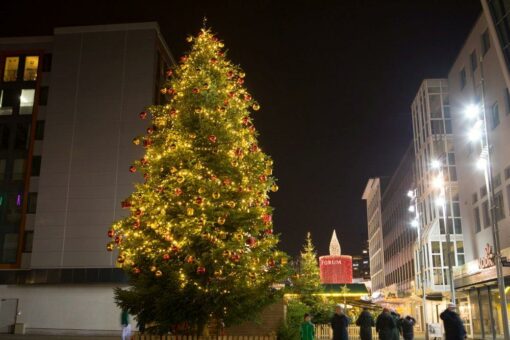 „Wie kam der Weihnachtsbaum ins Wohnzimmer”