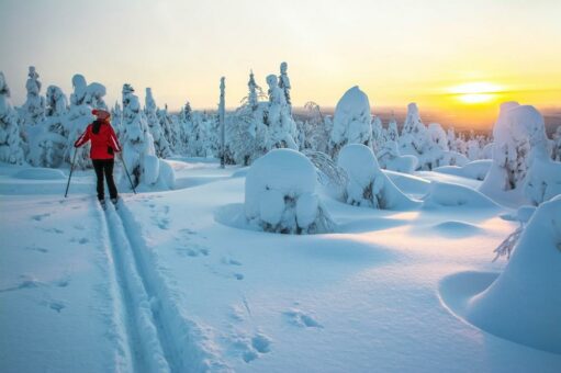 Warum es sich lohnt, zu einer Winterreise nach Lappland aufzubrechen