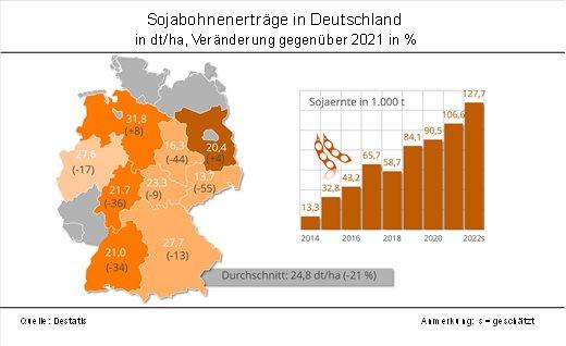 Sommerkulturen mit deutlichen Ertragseinbußen