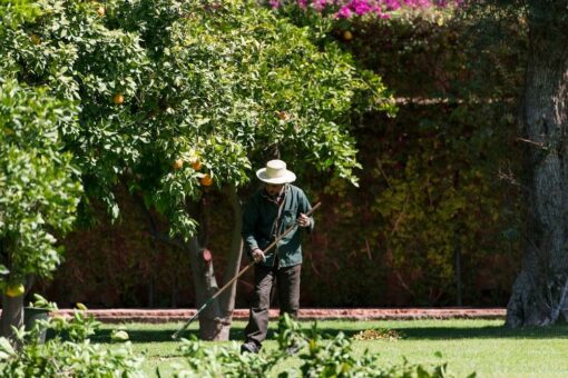 Ein Garten wie in 1001 Nacht: Das legendäre La Mamounia gibt Tipps, wie auch der eigene Garten zum Gemüse- und Pflanzenparadies wird