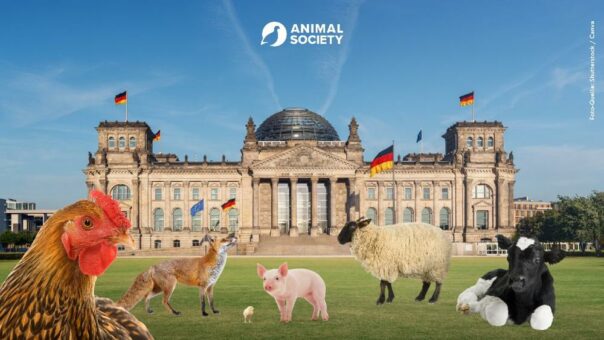 Bundesbeauftragte*r für Tierschutz kommt!