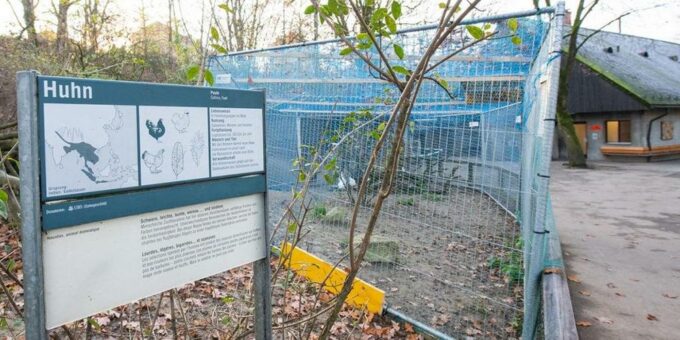 Vogelgrippe bei Zootieren