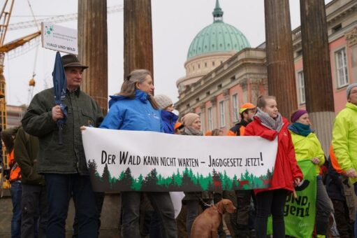 Blockadehaltung gegen die Jagdreform schadet dem Wald, der Artenvielfalt, dem Klima und damit auch den Menschen