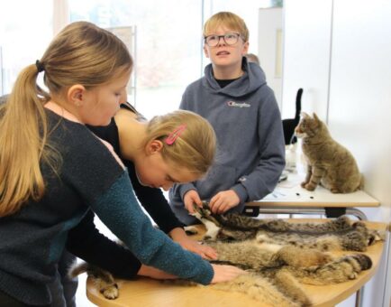 Blinde und sehbehinderte Schüler forschen auf den Spuren der Wildkatze