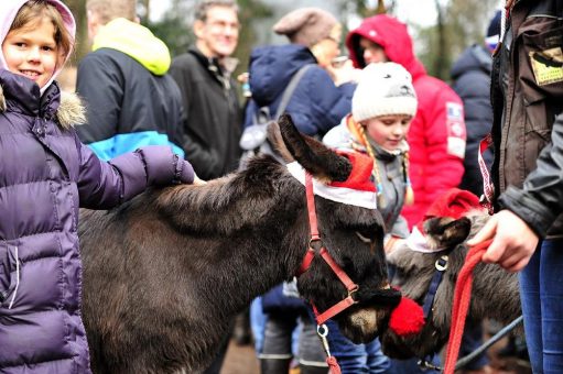 „Wildweihnacht“ in Eekholt: Sonnabend, Heiligabend