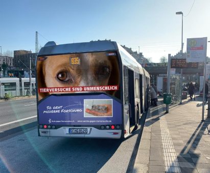 Busse mit Botschaft gegen Tierversuche fahren in Hamburg und Düsseldorf