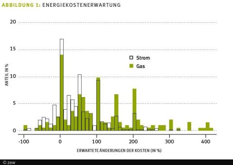 Deutsche Haushalte schauen zu optimistisch auf Energiekosten und zu pessimistisch auf Hilfen der Bundesregierung