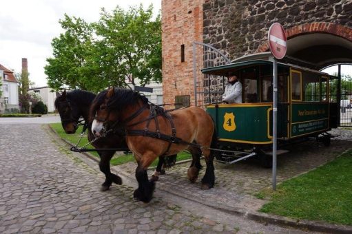 Militärpferd & Gebrauchspferd im 19. und 20. Jahrhundert – die Kavallerie der Garnison Stendal und die Pferdestraßenbahn