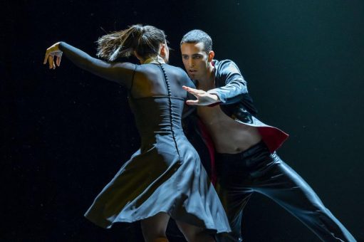 Ballett Schwanensee ab 3. Februar im Gewandhaus