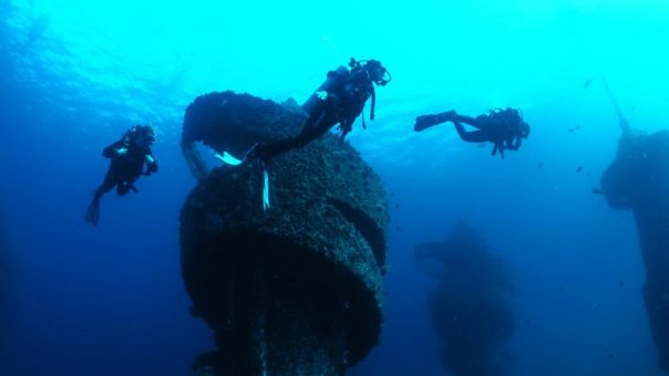 Wonder Reef – Neuer Ökotourismus an der Gold Coast