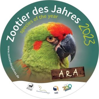 Zootier des Jahres 2023: Der Ara