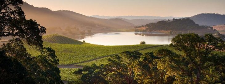 Six Senses Napa Valley, Kalifornien: Wo Wein und Wasser aufeinander teffen