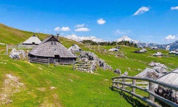 Wo sich Adria und Alpen treffen: Reise in Europas grünes Herz