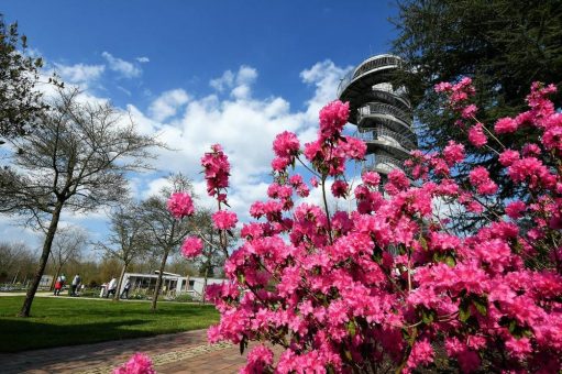 Stauden und Gehölze lassen Park der Gärten bunt aufblühen