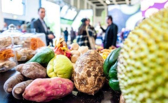 FRUIT LOGISTICA so international wie nie