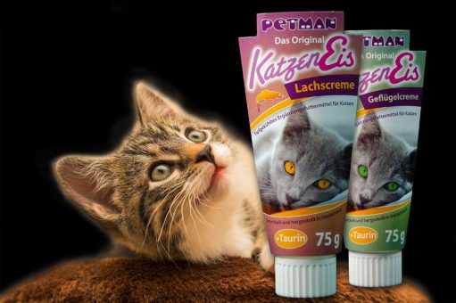 HUNDT:EISKALT: Innovativer Katzensnack 2023 – Das Original KatzenEis