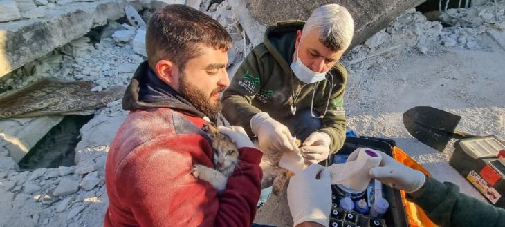 IFAW unterstützt Tierrettungsmaßnahmen im Erdbebengebiet