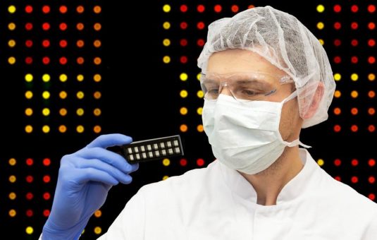 Diagnostik von Blut- und Knochenmarkkrebs: Thüringer Forscher entwickeln Chip für einfachen Bluttest