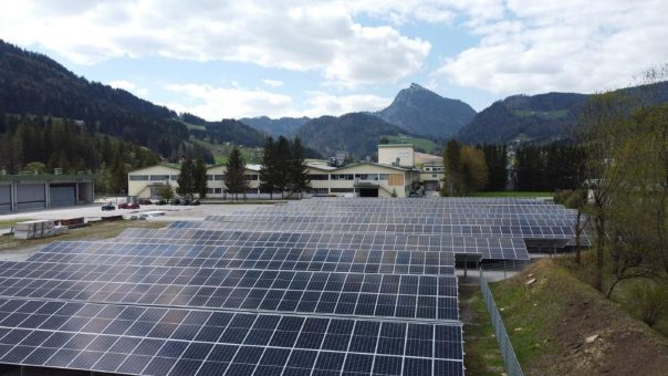 „Green Management“: Hersteller von Massivholzmöbeln setzen sich ganzheitlich für Nachhaltigkeit ein