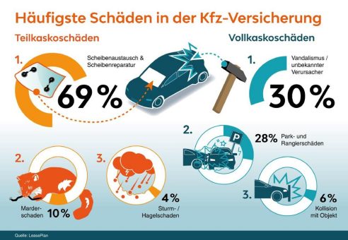 Die häufigsten Schäden in der Kfz-Versicherung: Achtung, Marder unterwegs!