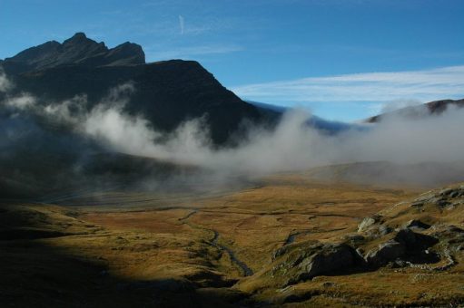 Strommangellage ist nicht eingetreten, jetzt Abbau beim Naturschutz stoppen