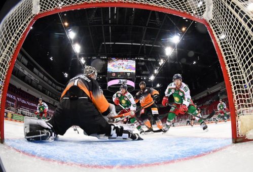 Schnelle Chance zur Revanche;  DEG empfängt die Grizzlys