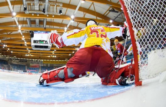 Nächster Cup-Gegner:  die Fischtown Pinguins –  Die DEG will den dritten Sieg in Serie!