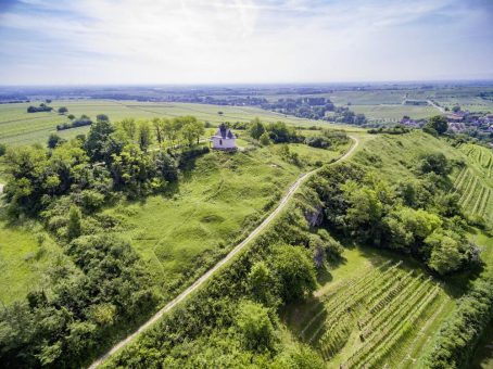 „Pakete“ voller Erlebnisse: Urlaubsarrangements an der Südlichen Weinstrasse