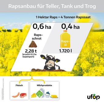 Biokraftstoffe: Nachhaltige Flächennutzung statt Flächenverbrauch