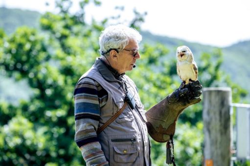 Saisonauftakt der Flugschau im WildtierPark Edersee