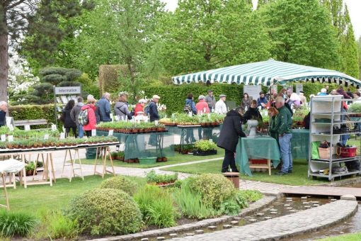 Pflanzenschätze, Gartenschnäppchen und Lustwandeln im Grünen