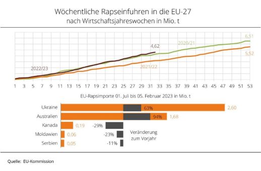 EU-Rapsimporte 45 % über Vorjahresniveau