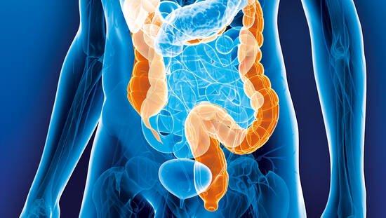 Darmkrebsmonat März: Erblich bedingter Darmkrebs