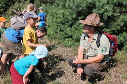 Führungen dürfen im Müritz-Nationalpark wieder stattfinden