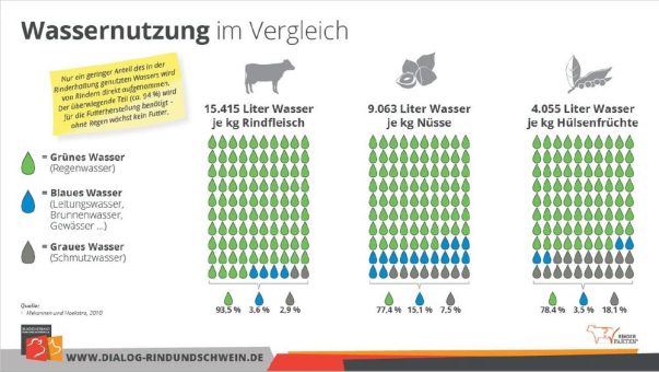 Rindfleischerzeugung trägt zur nachhaltigen Nutzung von Regenwasser bei