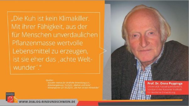 Rinder sind bei Fragen zum Klimawandel Teil der Lösung und nicht des Problems