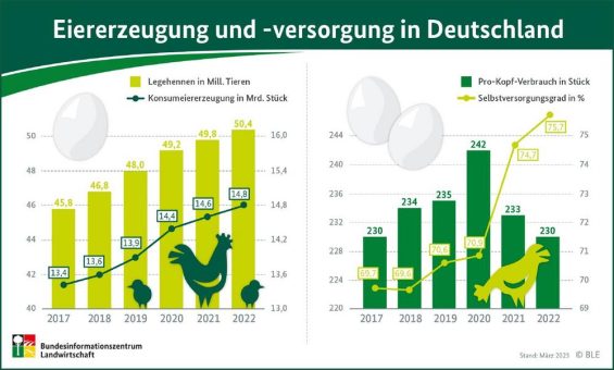 Versorgungsbilanz 2022: Verbrauch von Eiern sinkt auf 230 Stück pro Person