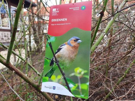 Neues ERKENNEN-Faltblatt „Vögel im Nationalpark Hainich“ veröffentlicht