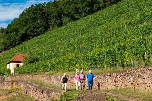 „Deutschlands schönster Wanderweg“ wird gewählt