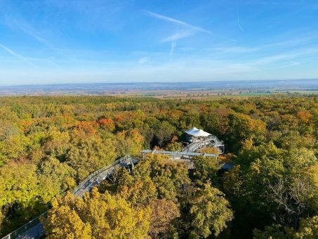 Winteröffnungszeiten am Baumkronenpfad im Nationalpark Hainich