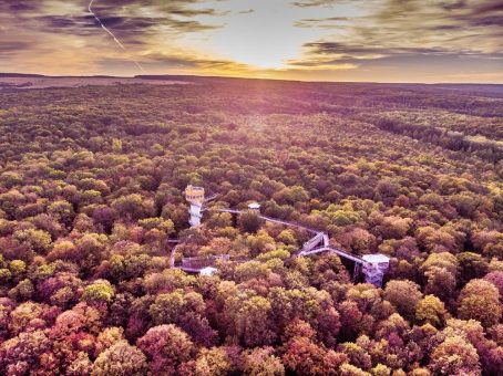 Baumkronenpfad im Nationalpark Hainich begrüßt drei Millionen Besucher seit seiner Eröffnung 2005