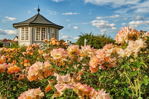 Anerkannte Qualität in der Welterberegion Wartburg Hainich